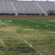 Image for article titled Austin: We visit fictional Dillon, TX, home of Friday Night Lights